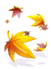 Folhas Outonais