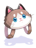 Mochila de Gato Ragdoll